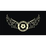 best sports jobs in india